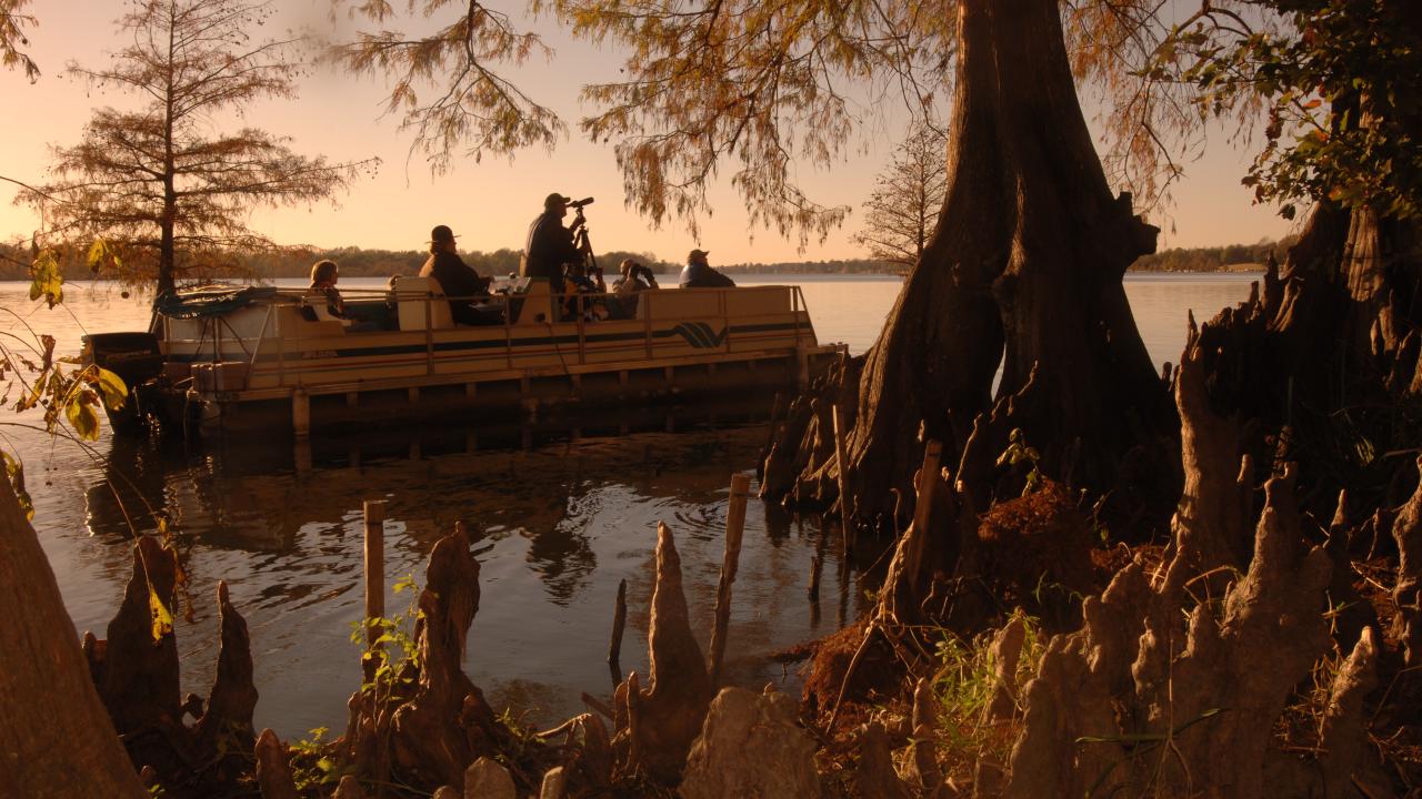 Lake Chicot