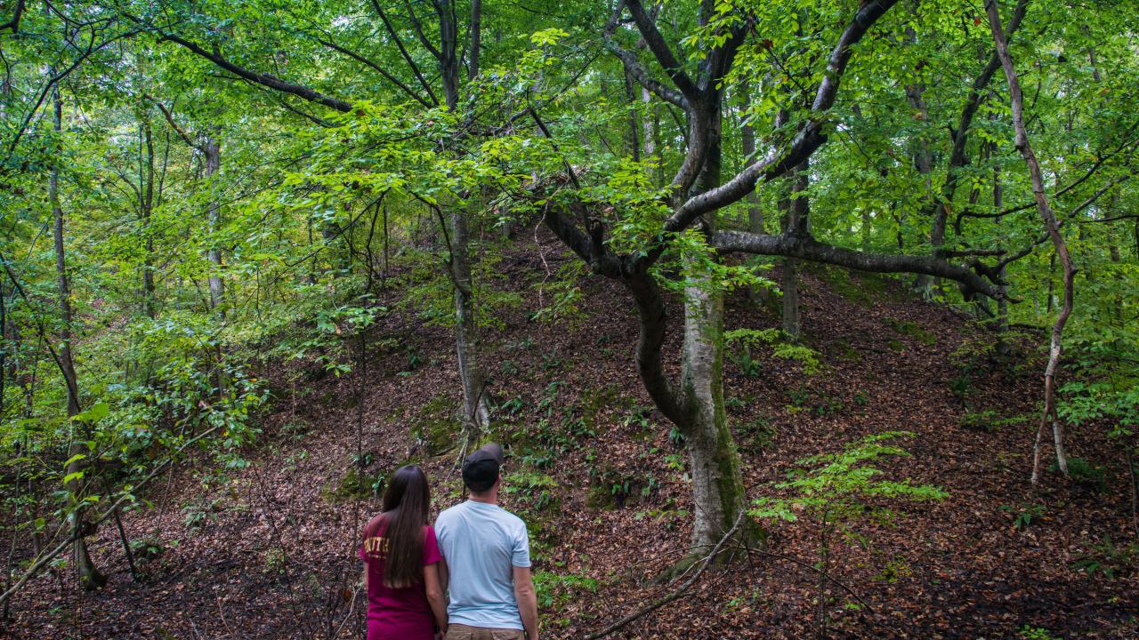 Loess-covered ridge at Valley Creek State Park