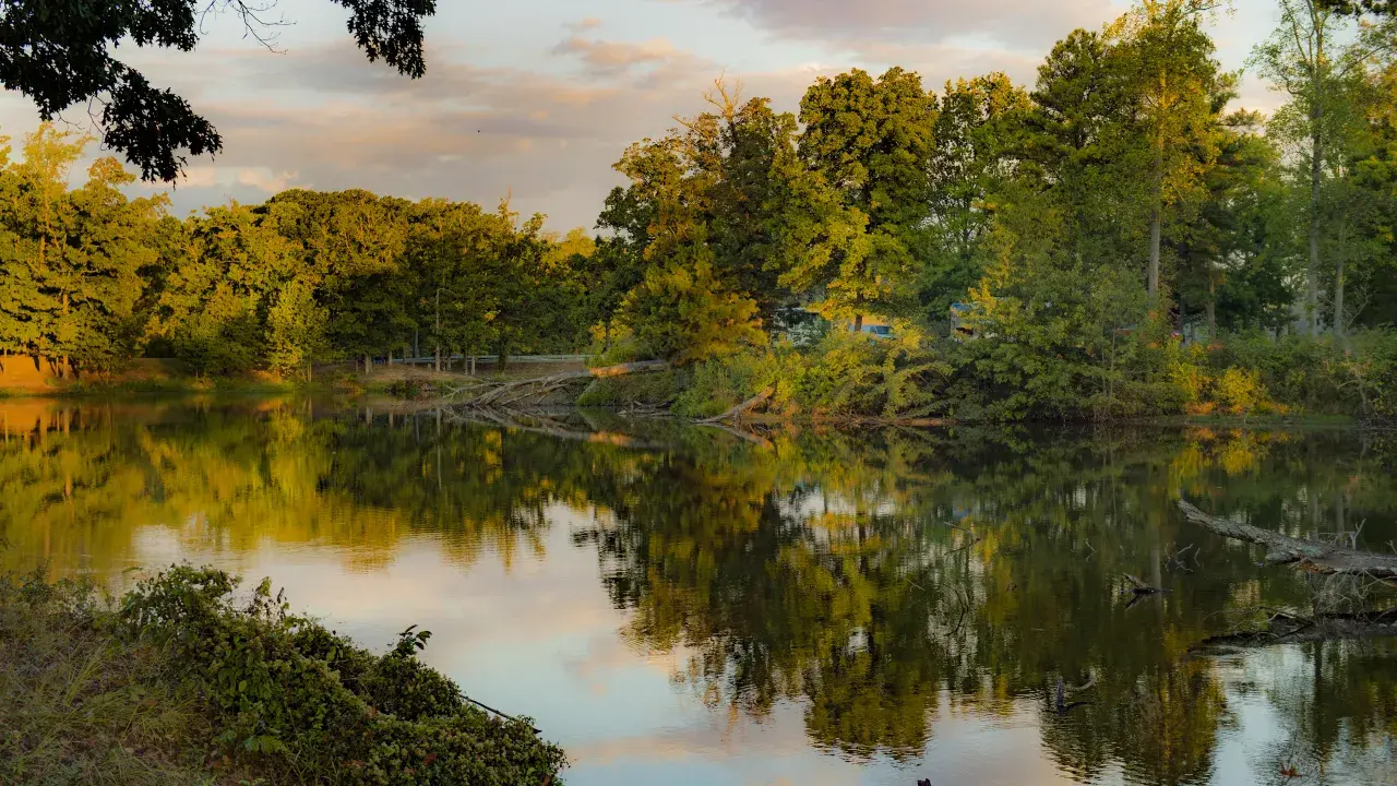Mississippi River State Park - St. Francis National Forest