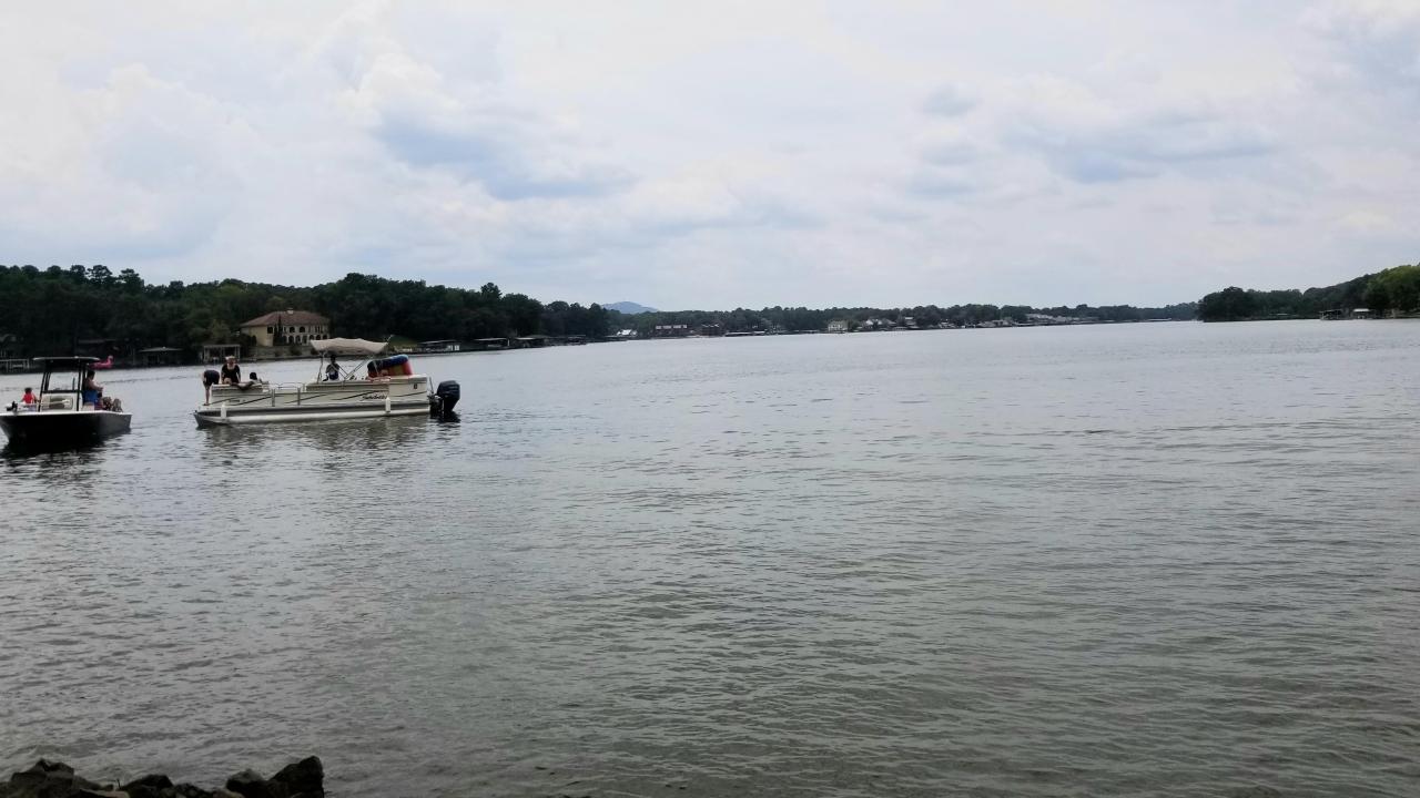 Lake Hamilton