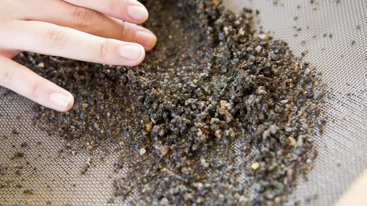 Diamond sifting at Crater of Diamonds State Park