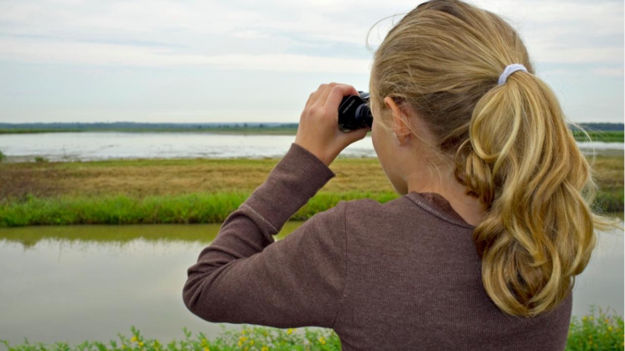 Birding at Bald Knob National Wildlife Refuge 