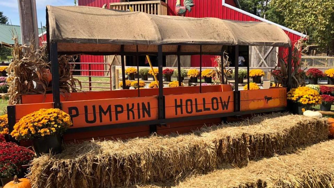 Pumpkin Hollow