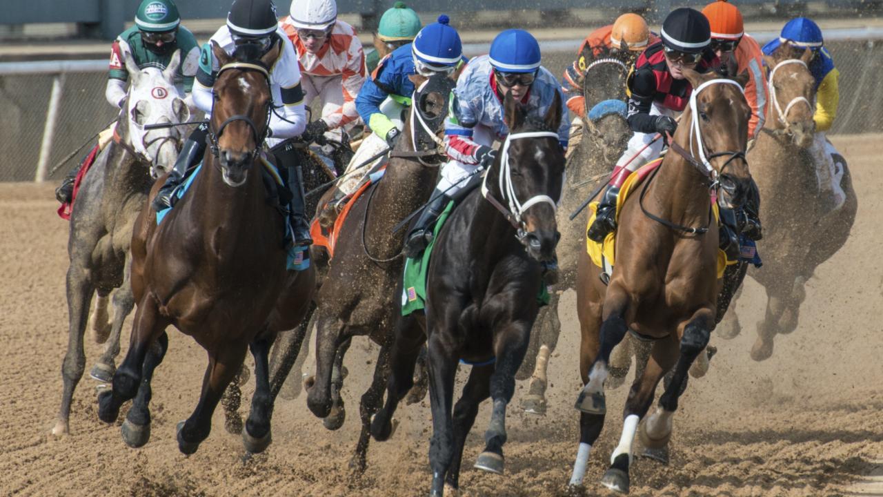 Oaklawn Racing Casino Resort offers yearround excitement in Hot