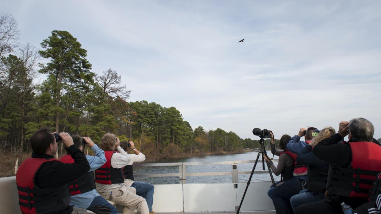Eagle watch tour on DeGray Lake at DeGray Lake Resort State Park 