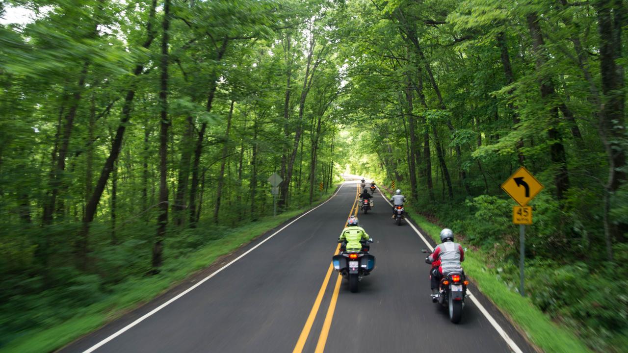 Ride the Pig Trail