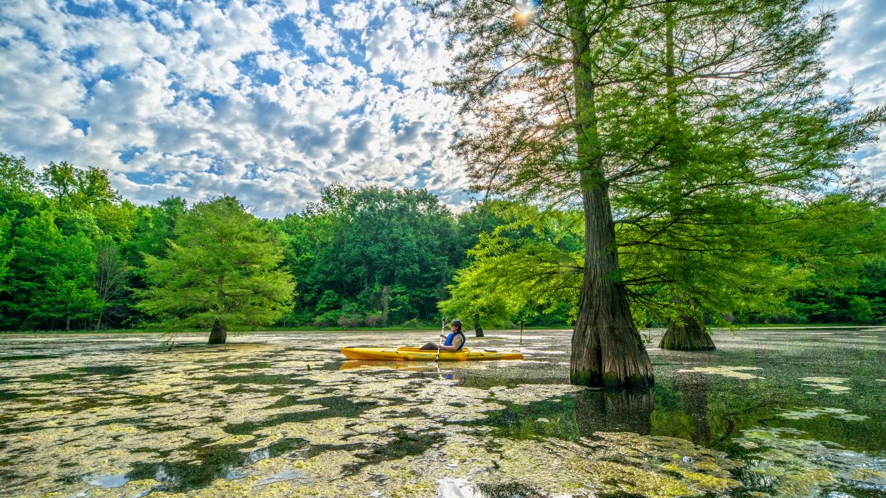 Mississippi River State Park is located on Arkansas' section of the Great River Road National Scenic Byway