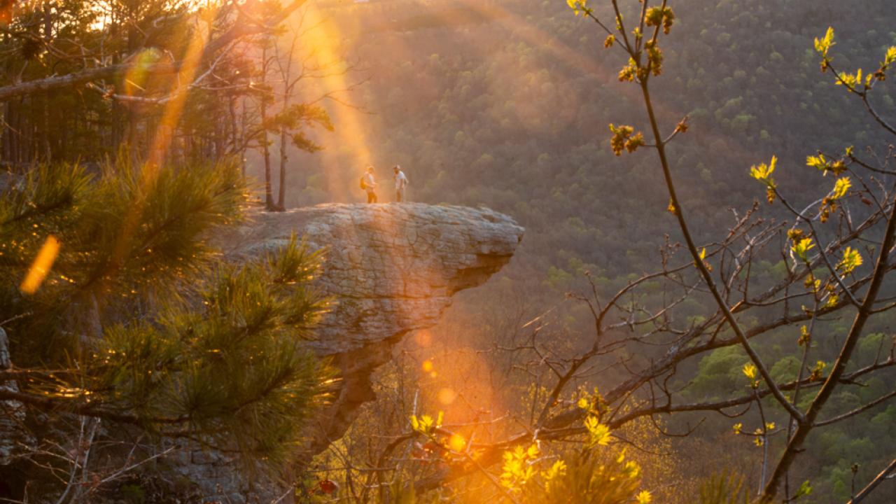 Whitaker Point Trail