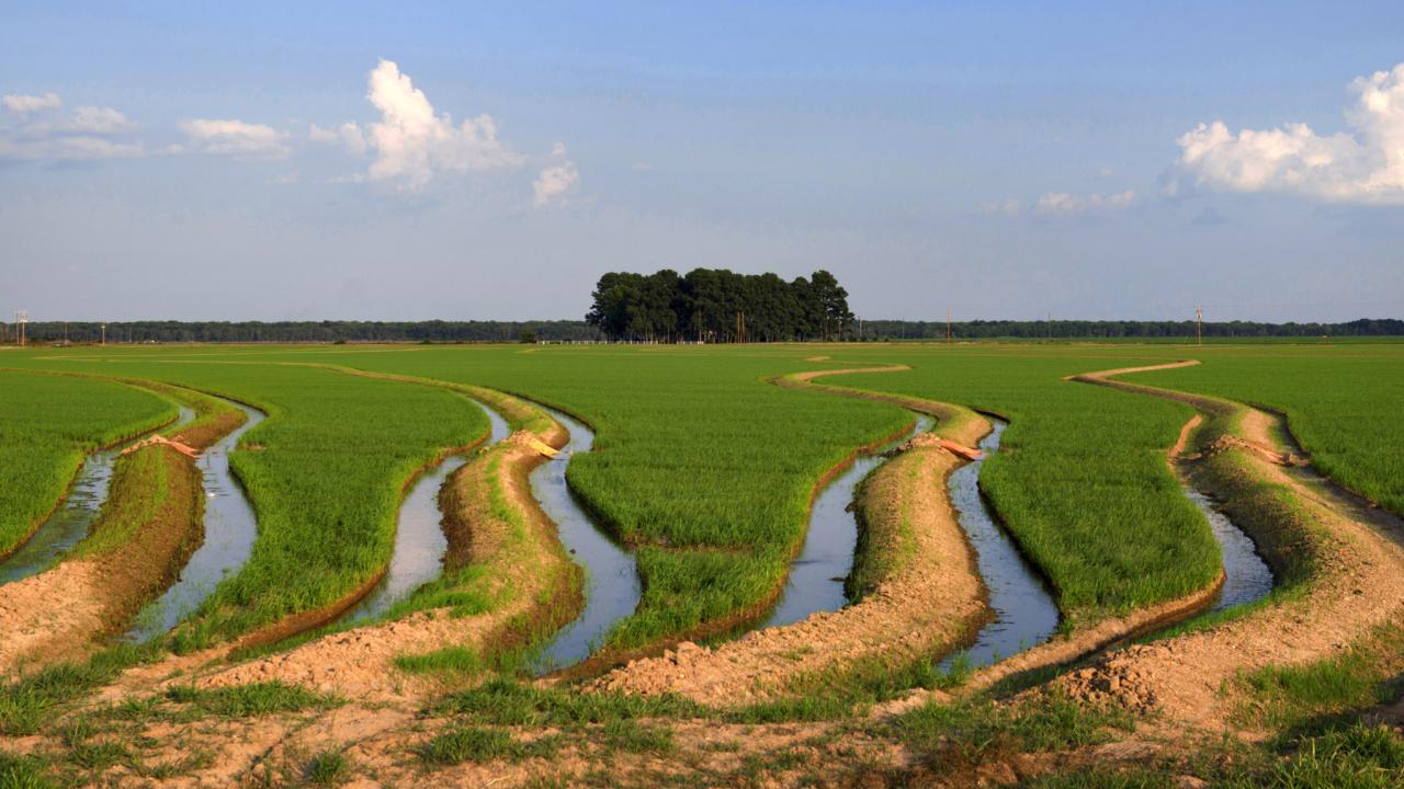 Enjoy the beauty of the Upper Delta along Crowley's Ridge Parkway National Scenic Byway