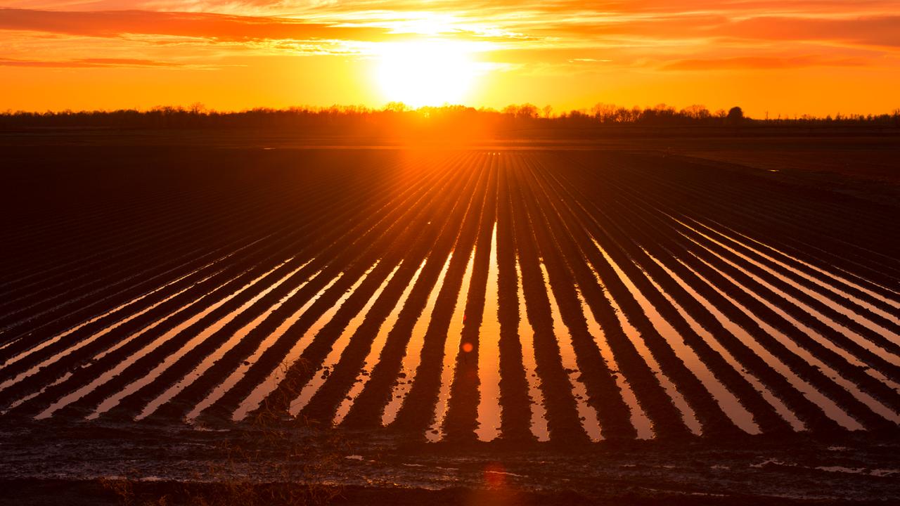 Sunset of the Arkansas Delta.