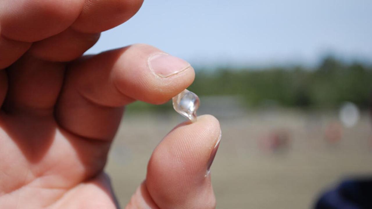 Visitor Finds 2.23Carat Diamond at Crater of Diamonds State Park