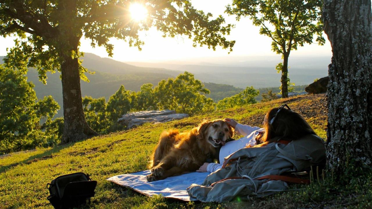 Relaxing with your dog at sunset