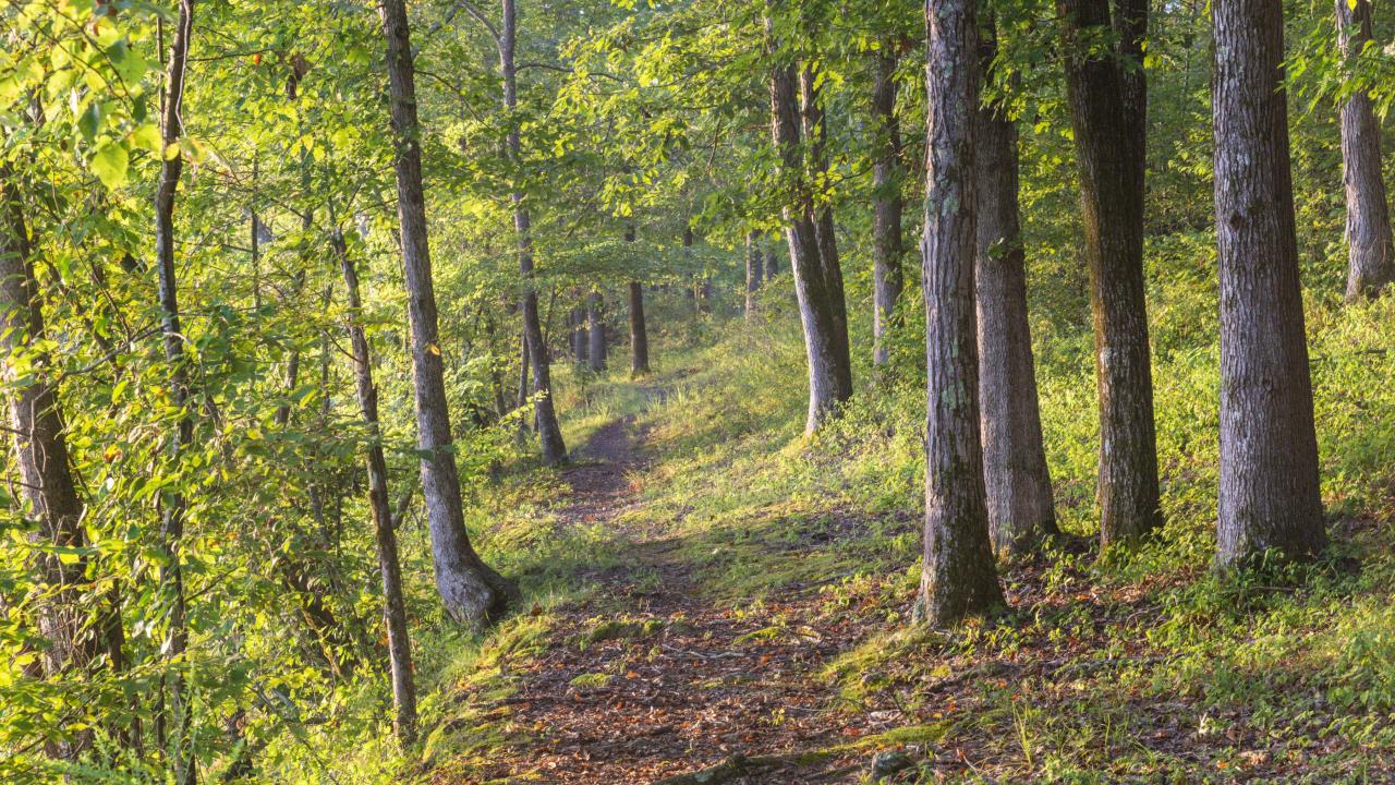 Fall outdoor activities
