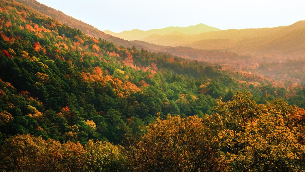 Fall color in the Ouachita National Forest