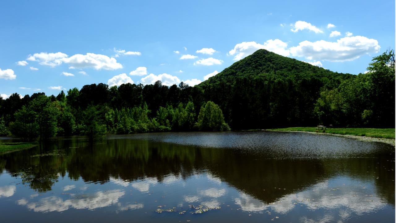 The beauty of Pinnacle Mountain State Park
