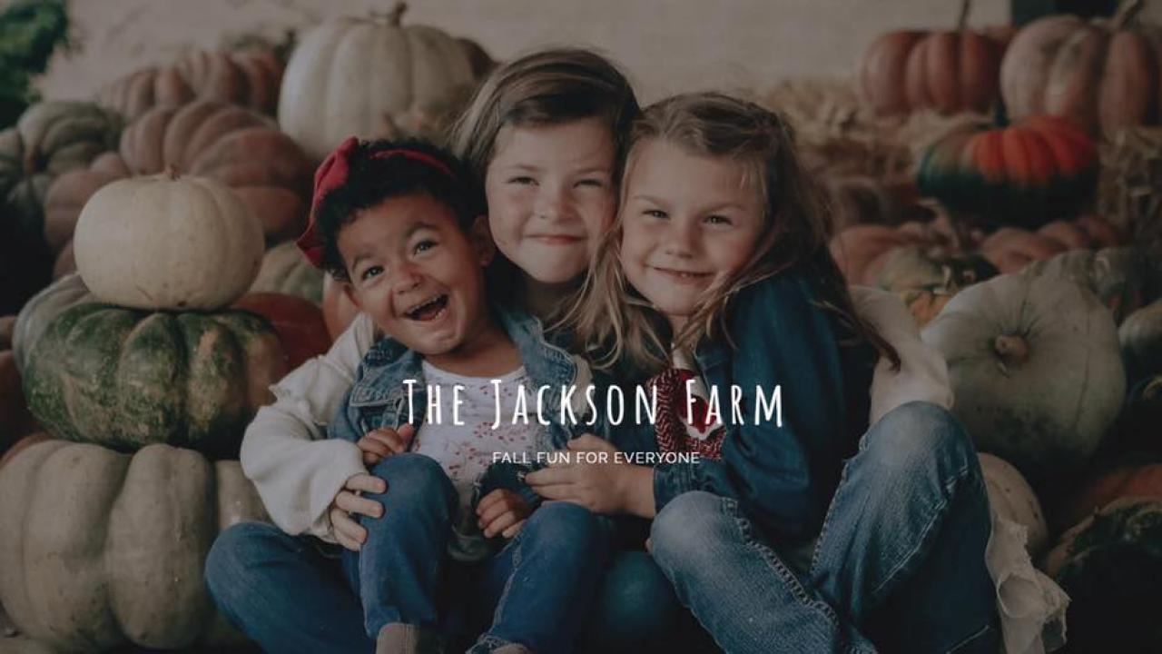 One of the Arkansas Delta's newest fall attractions, the Jackson Farm