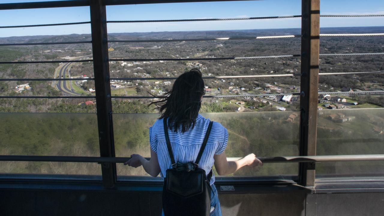 The view from the Hot Springs Mountain Tower.