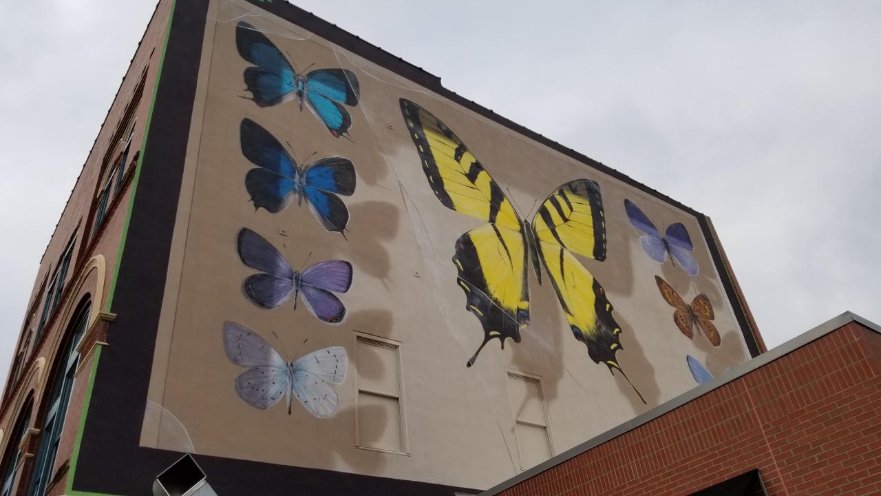 Butterfly Mural in Little Rock