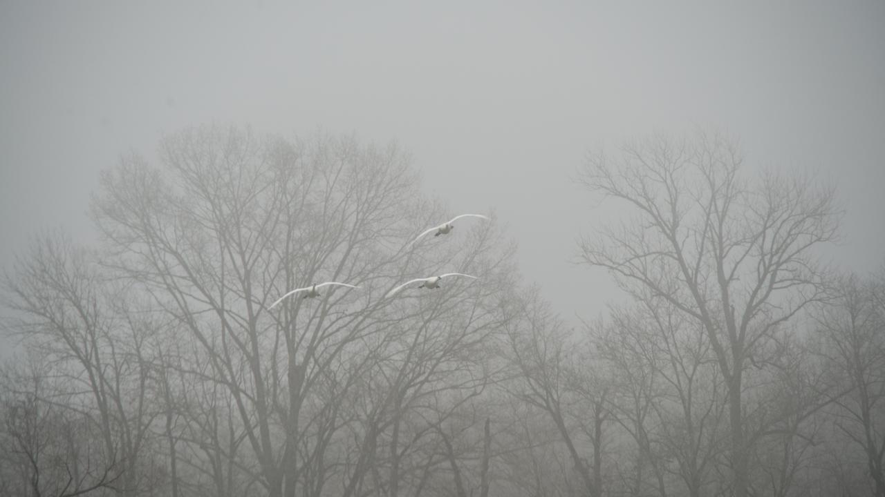 Fog sets in over Magness Lake in Hot Springs