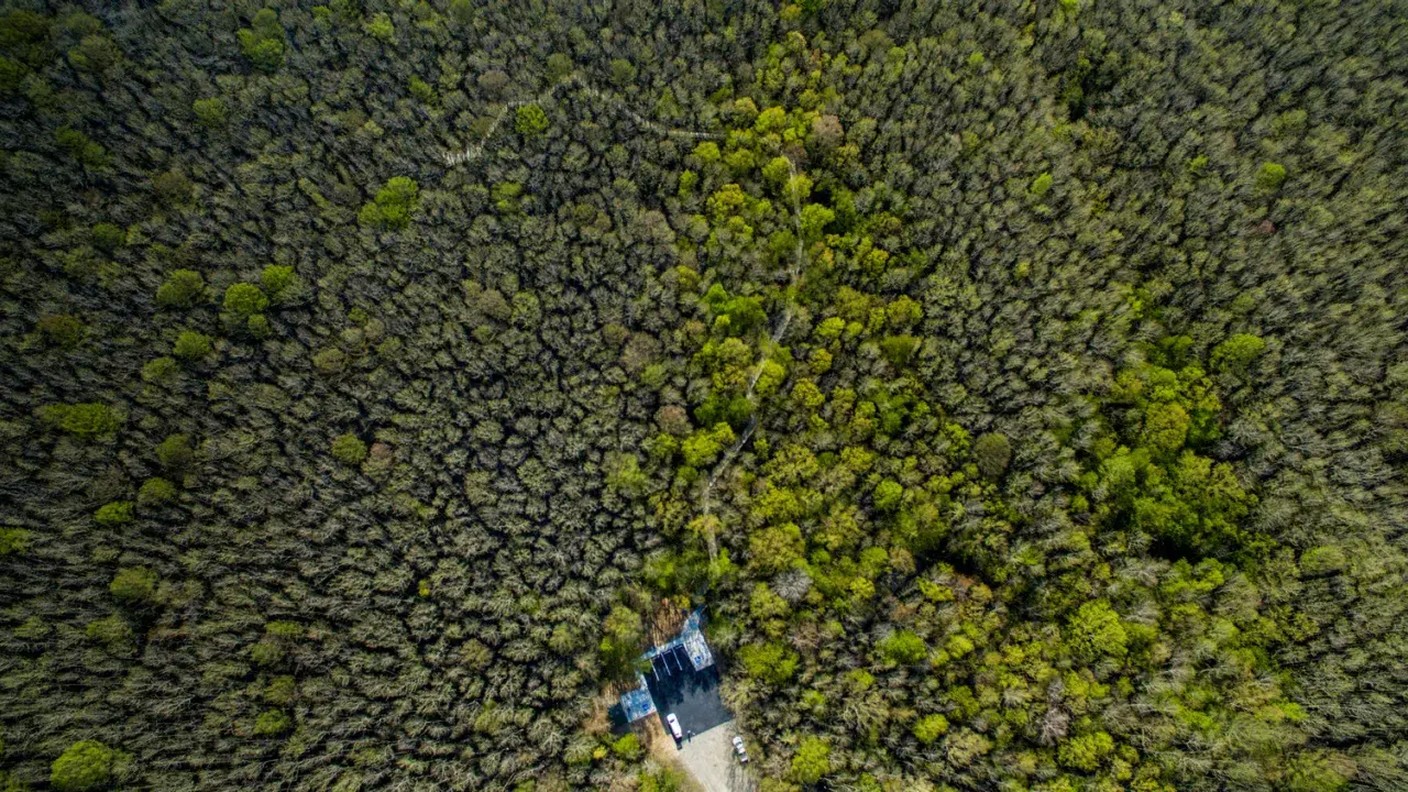Aerial photo of Louisiana Purchase Historic State Park.