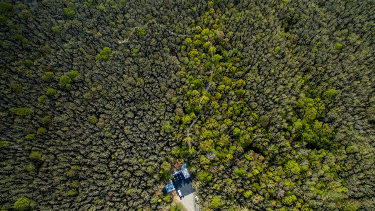 Aerial photo of Louisiana Purchase Historic State Park.