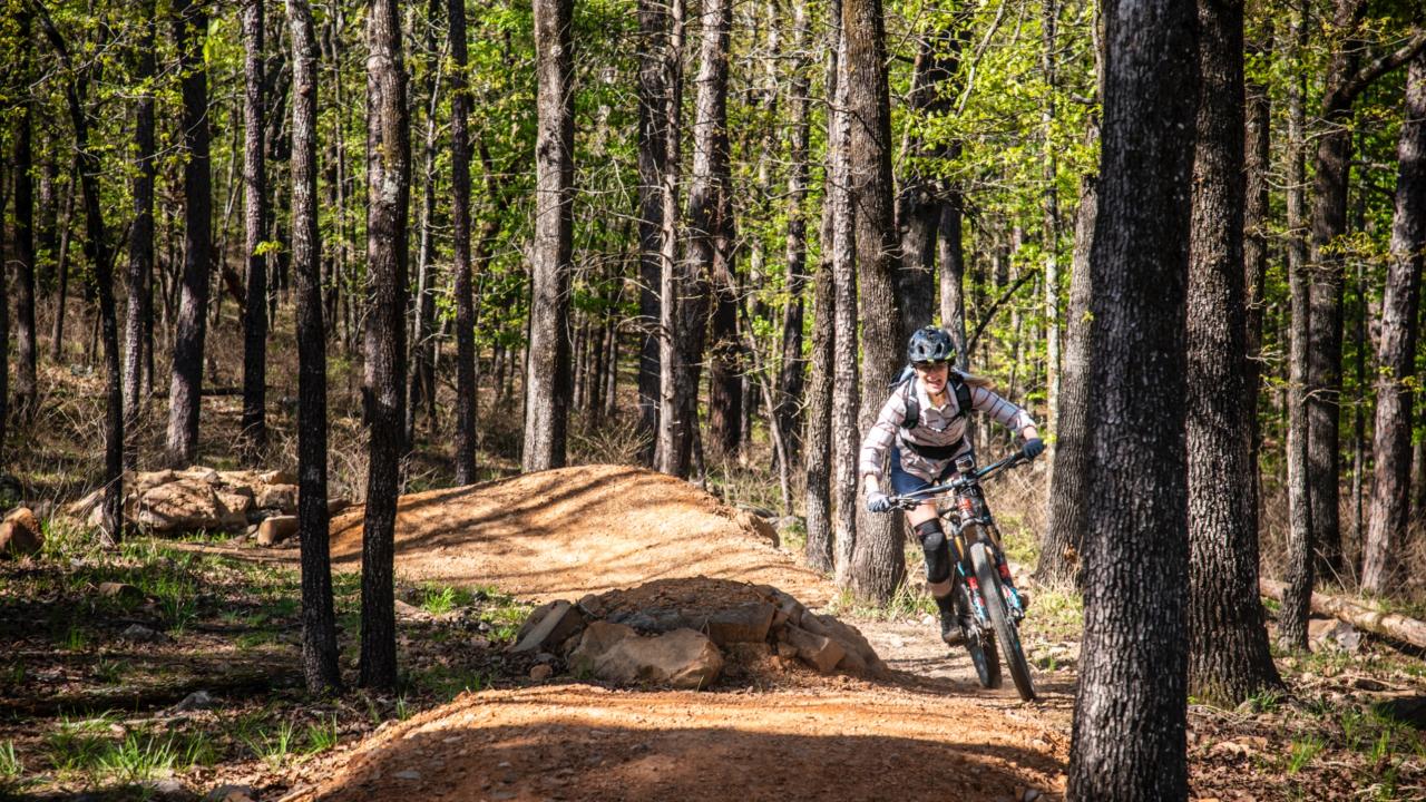The Monument Trails at Pinnacle Mountain State Park. 
