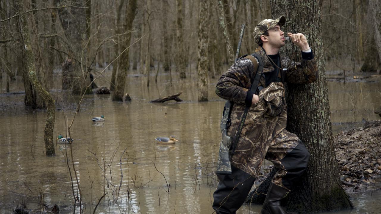 Duck hunting at the Bayou Meto Wildlife Management Area