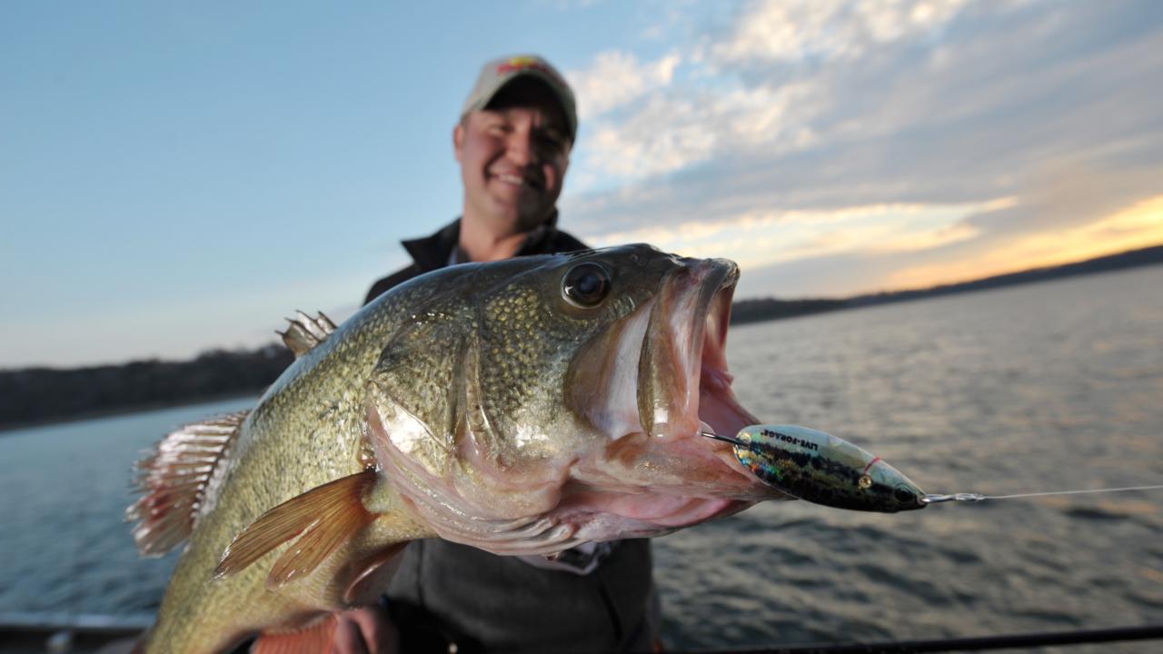 Bed Fishing : Three Baits you May Not Have Tried Before