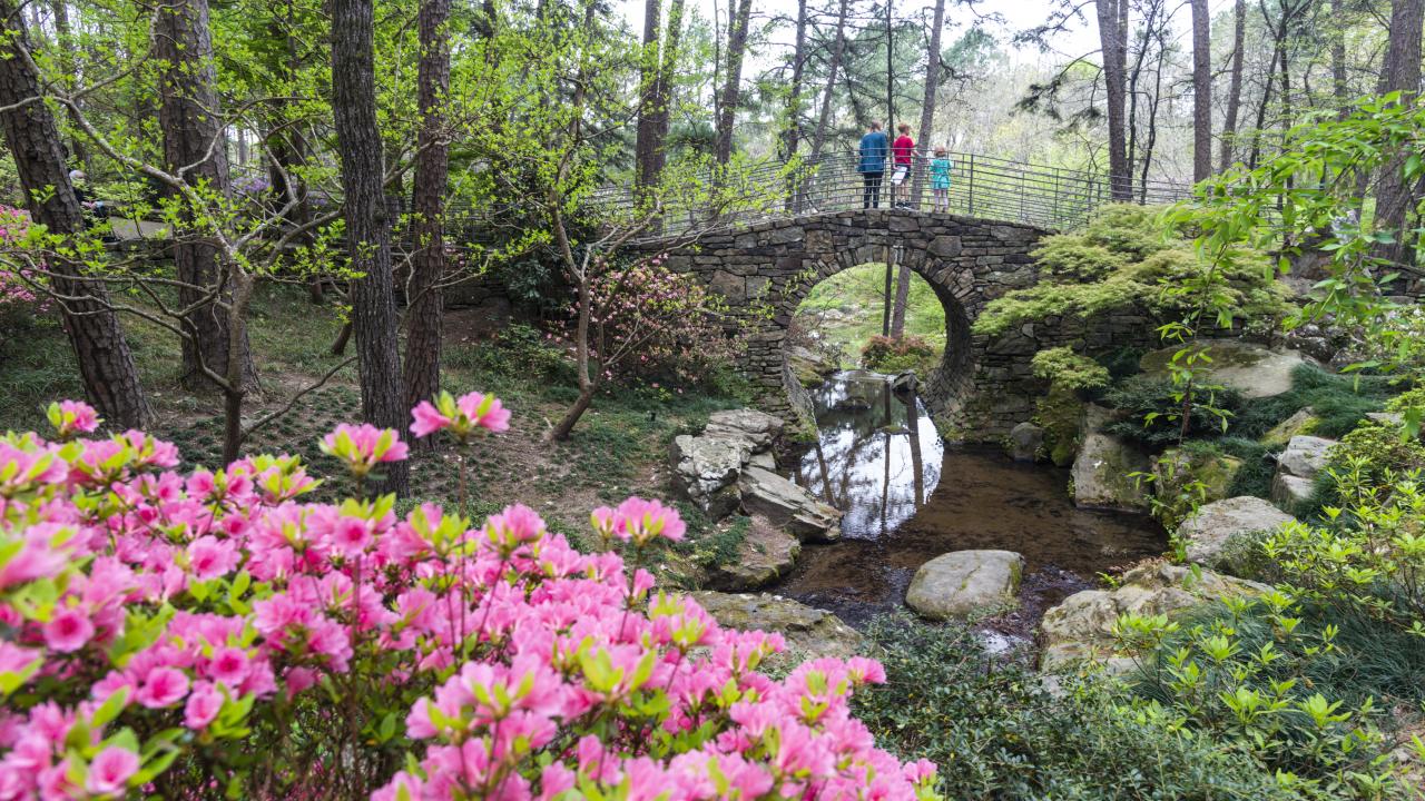 Bridge at Garvan Woodland Gardens in Hot Springs
