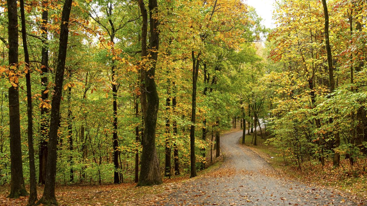 Lake Frierson State Park 