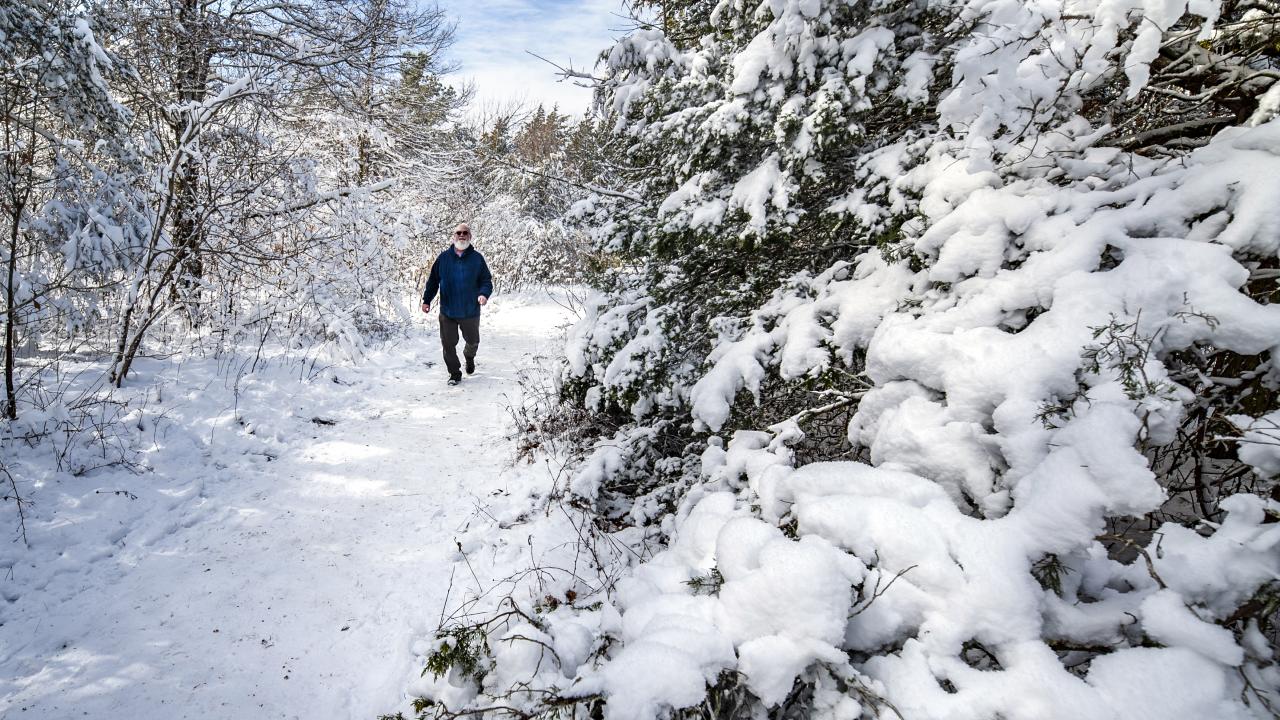 Hiker walking through the snow capped hiking trails at Mount Magazine State park