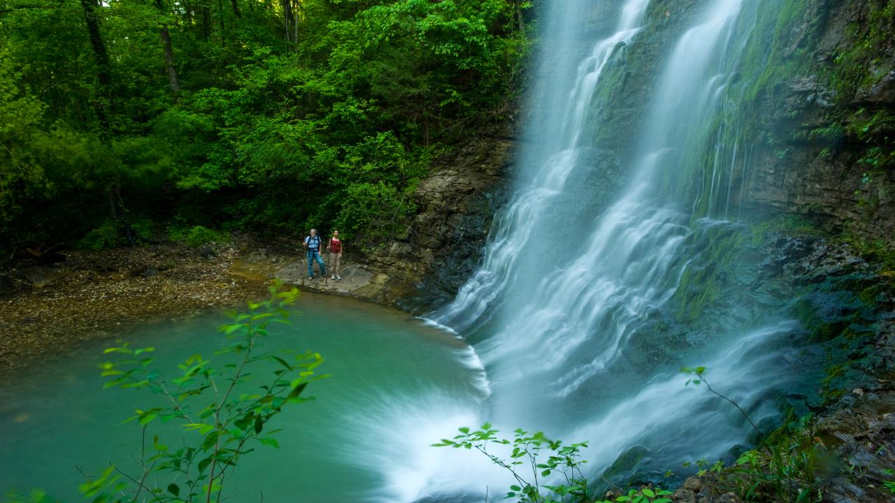 Twin Falls near Jasper
