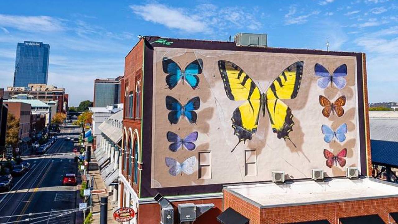 5 Reasons to Visit Little Rock in 2022