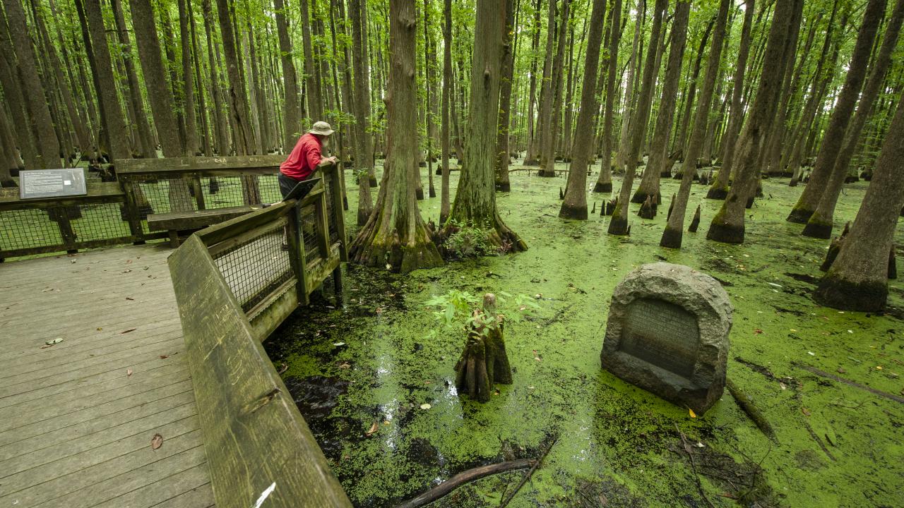 Louisiana Purchase Historic State Park near Brinkley