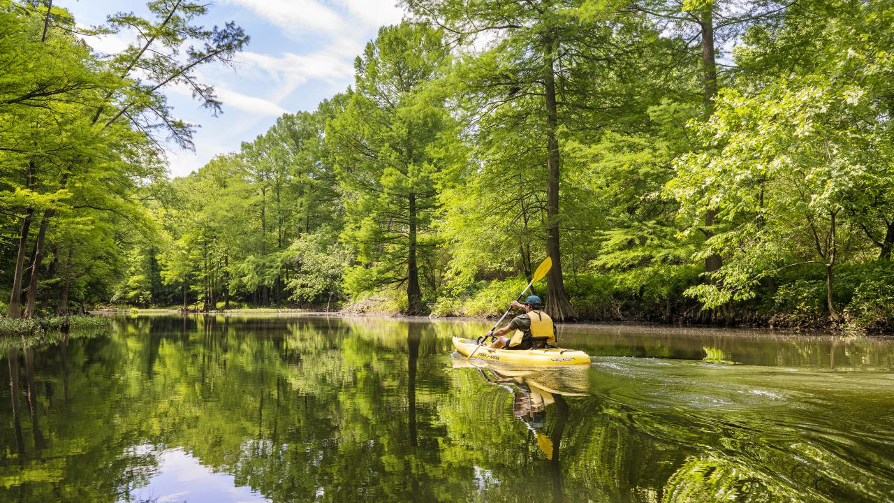 The Little Maumelle River Water Trail