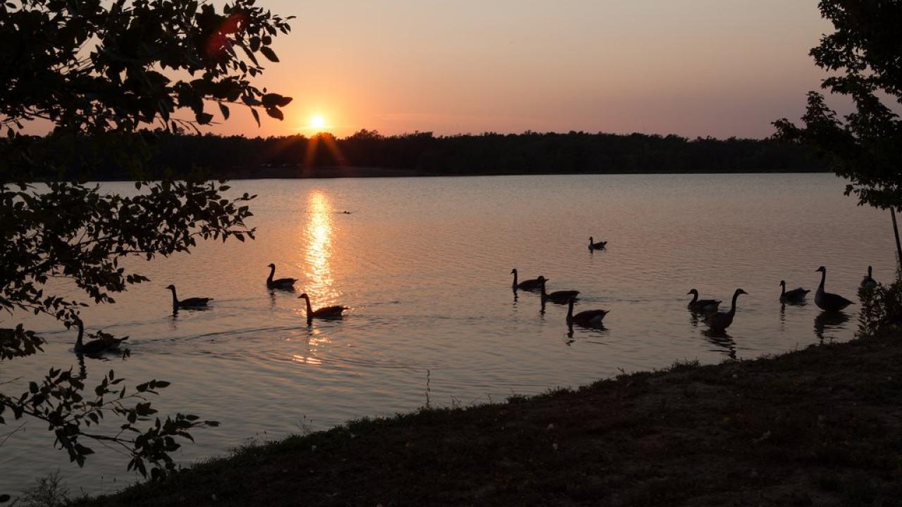 Craighead Forest Park in Jonesboro