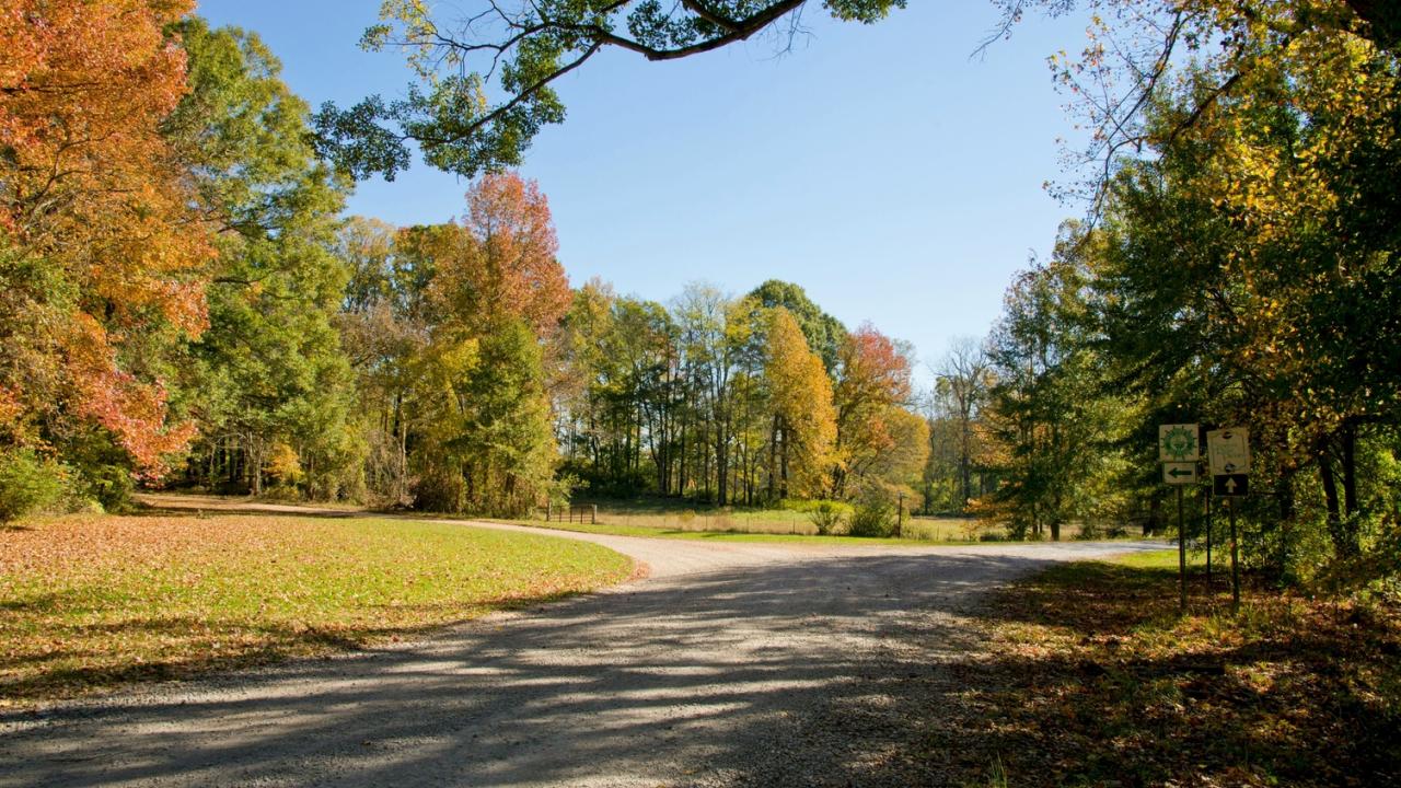 Enjoy a fall road trip along the Lower Delta's All-American Road.