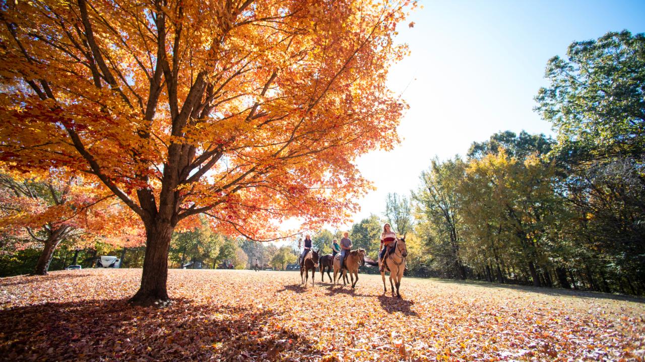 Horseback riding at Village Creek State Park.