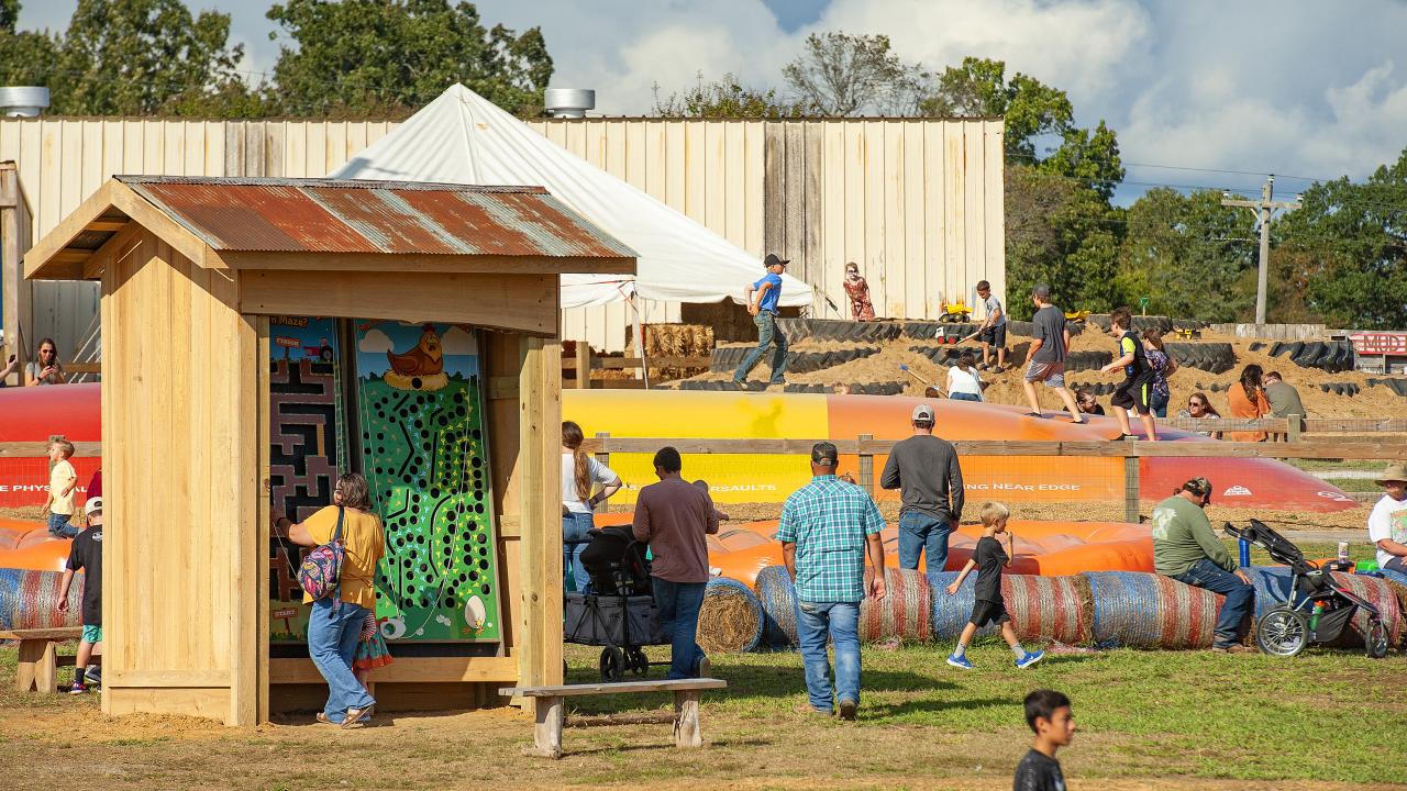 Enjoy some fall family fun at Jackson Farm in Black Rock.
