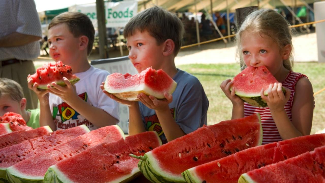 Watermelon