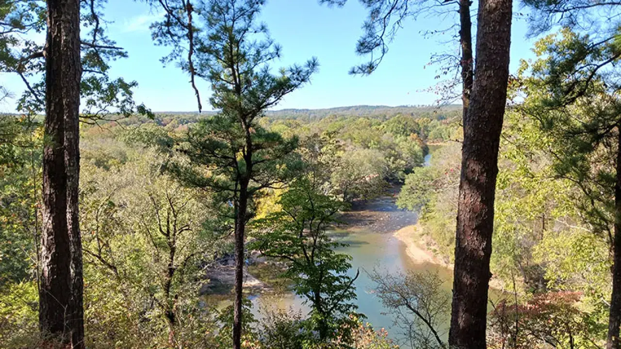 Goat's Beard Bluff Natural Area. Photo care of Arkansas Natural Heritage Commission. 