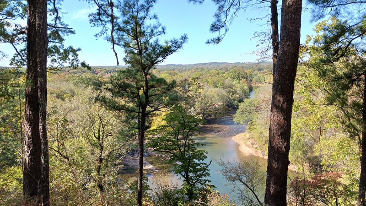 Goat's Beard Bluff Natural Area. Photo care of Arkansas Natural Heritage Commission. 