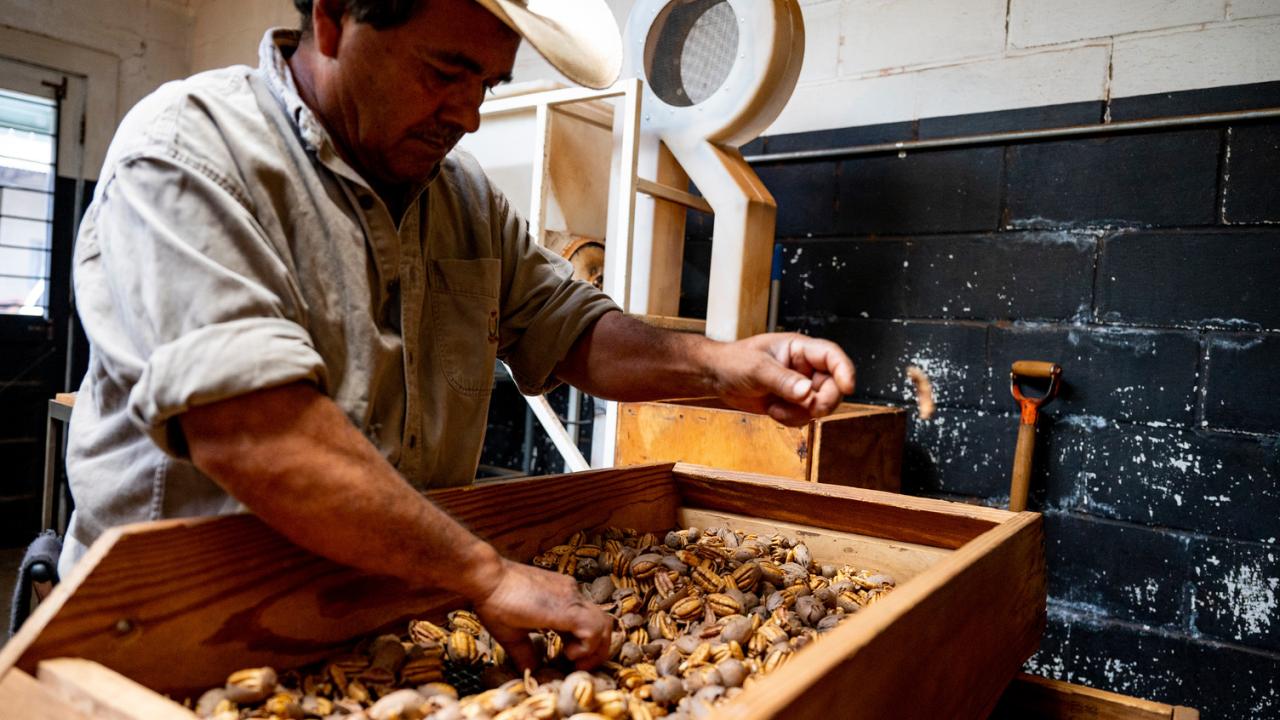 The Nut House in Keo. Photo by Will Newton.