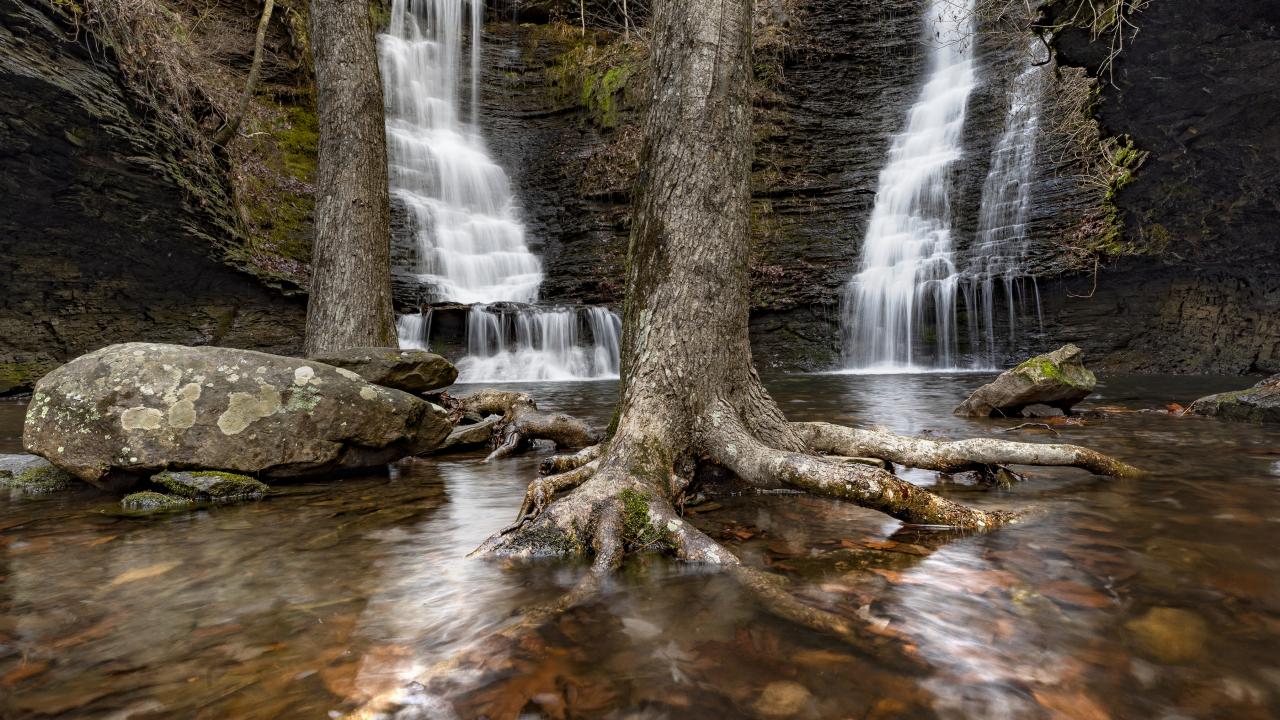 Wildman Twin Falls