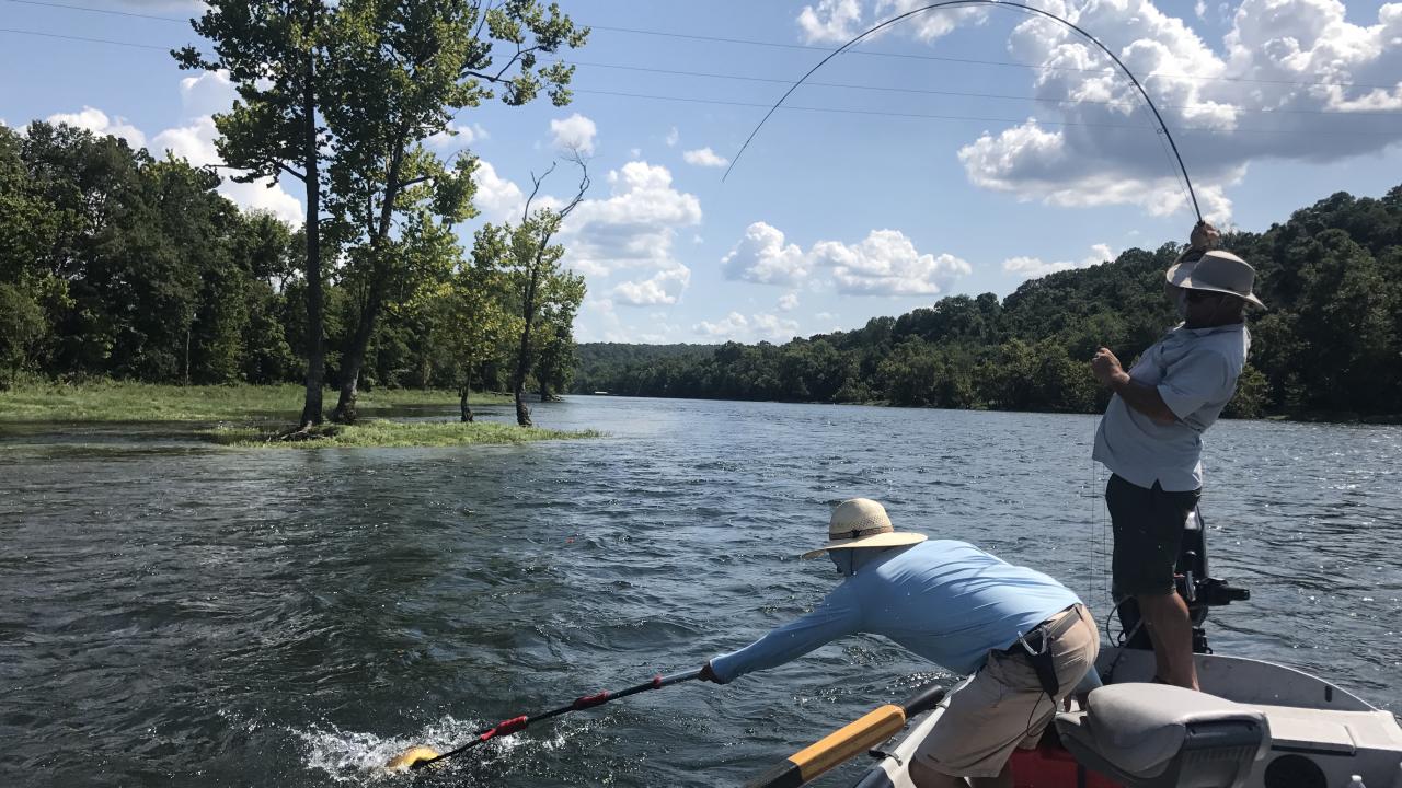 Trout fishing on the White River