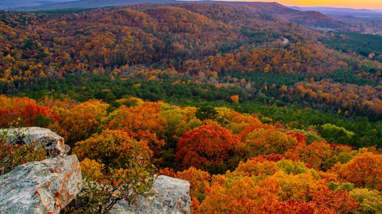 Petit Jean overlook in the fall 