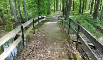 Boyle Park Mountain Biking Trail in Little Rock
