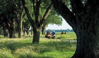 Grand Prairie Loop