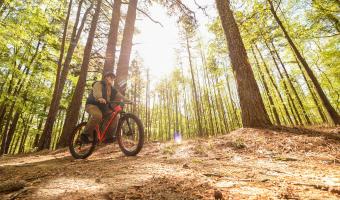 Cane Creek Lake Mountain Biking Trail