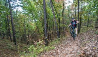 Hidden Diversity Mountain Biking Trail at Hobbs State Park